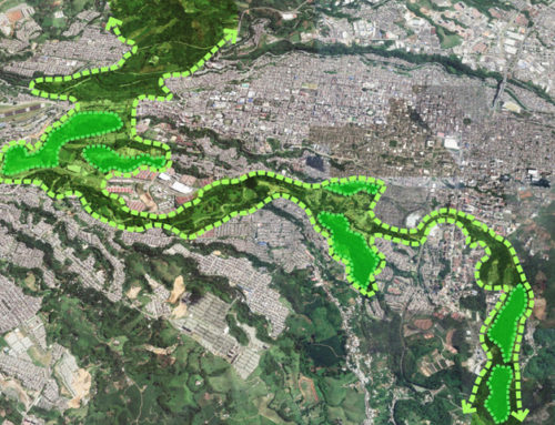 (Nederlands) Groene Corridor Pereira