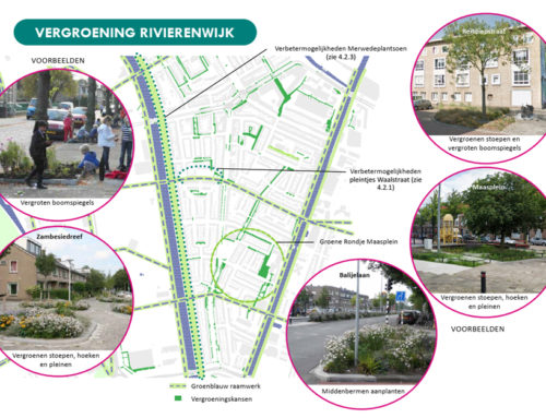 Buurtaanpak Rivierenwijk en Transwijk