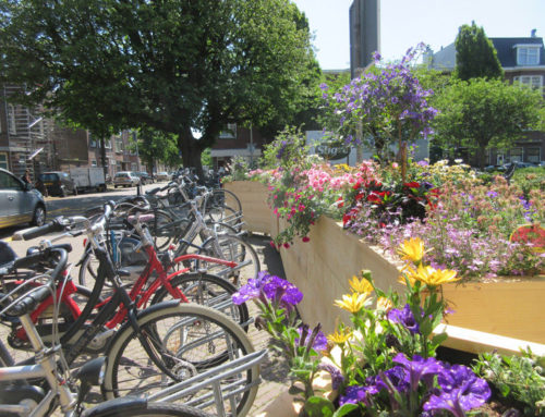 Experimento en la plaza De Silleplein